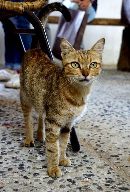 20251102-3ae25 20251102-3ae25