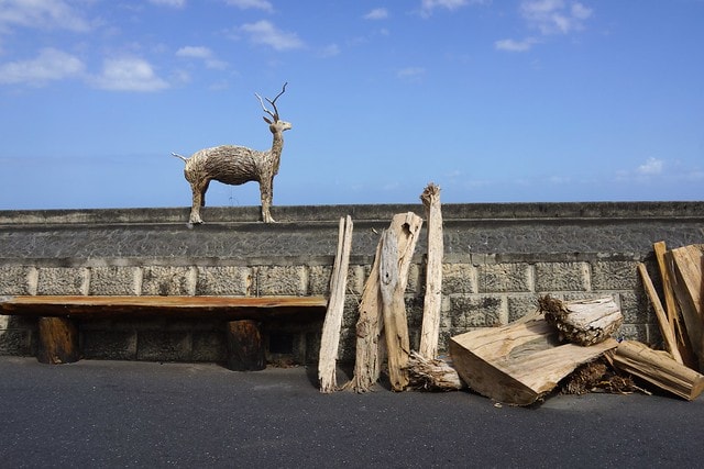 20251102-npgu4 20251102-npgu4