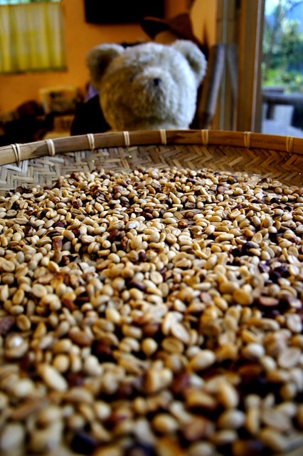 20251102-fi8el 20251102-fi8el