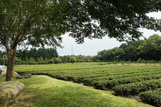 20251102-0a6zw 20251102-0a6zw