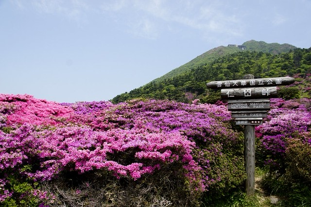 20251102-f2epy 20251102-f2epy