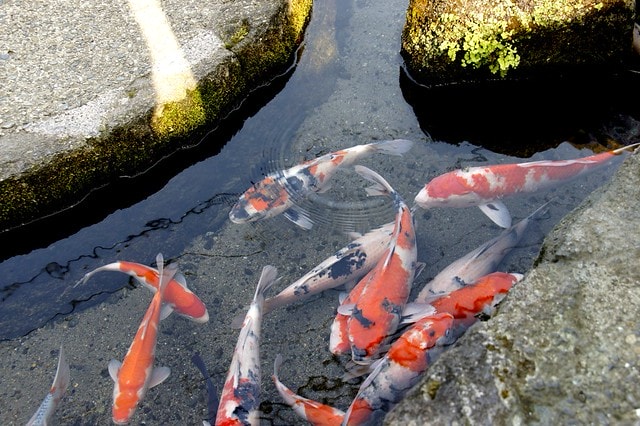 20251102-jveaa 20251102-jveaa