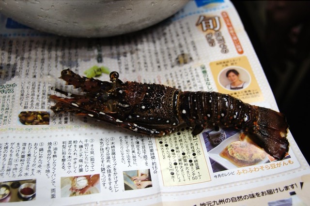 20251102-k2fr2 20251102-k2fr2