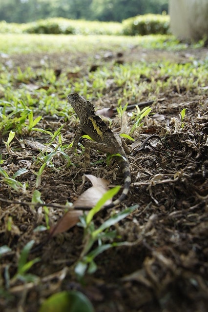 20251102-kb3xy 20251102-kb3xy