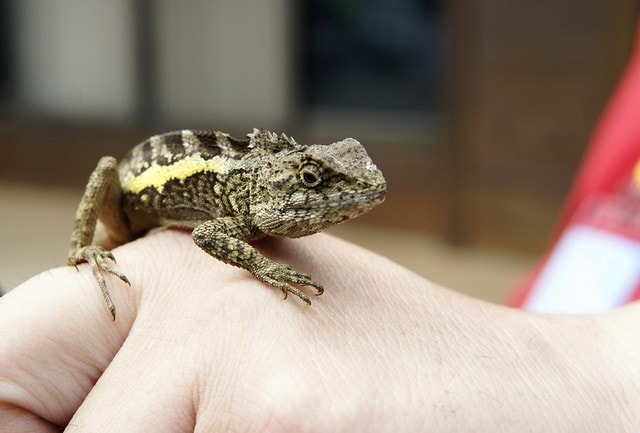 20251102-lqwto 20251102-lqwto