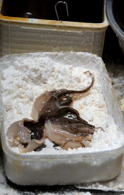 20251102-q66aa 20251102-q66aa