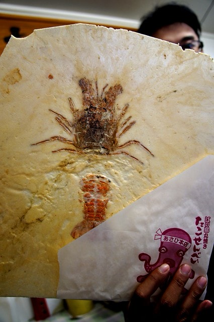 20251102-yswqr 20251102-yswqr