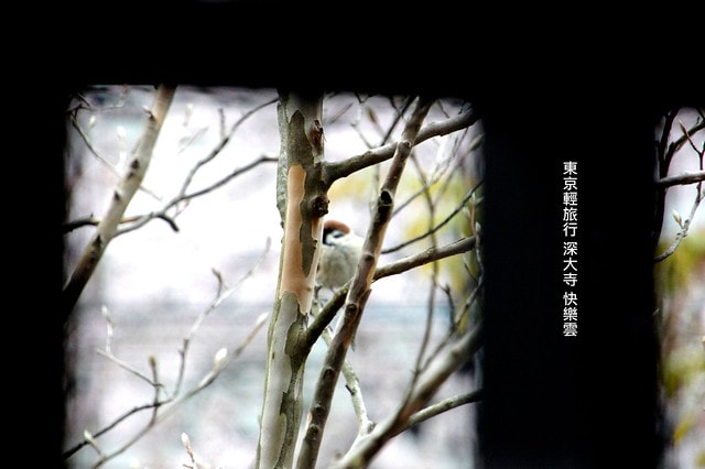 20251102-0pmtg 20251102-0pmtg