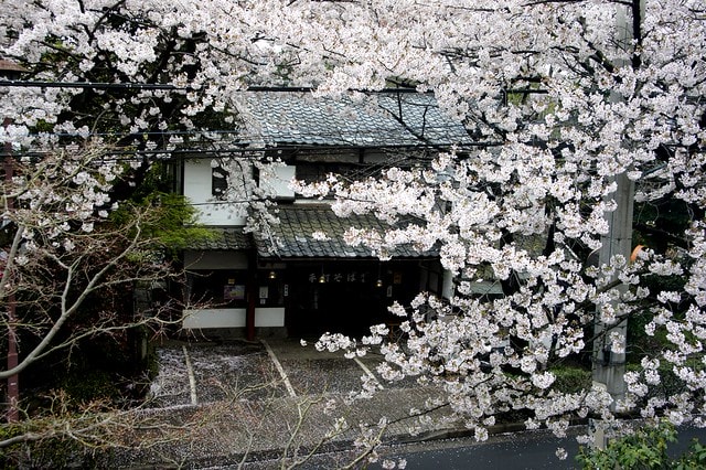 20251102-29ioy 20251102-29ioy