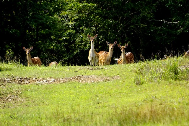 20251102-av34c 20251102-av34c