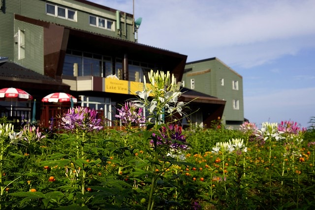 20251102-c3d14 20251102-c3d14