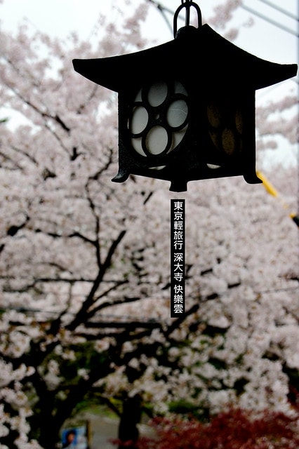 20251102-rky5y 20251102-rky5y