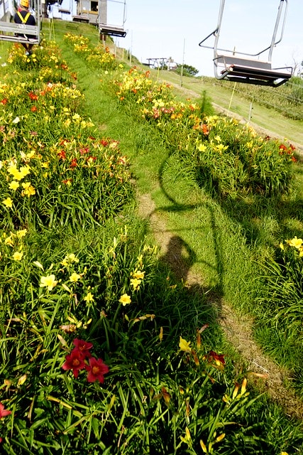 20251102-t1pr4 20251102-t1pr4