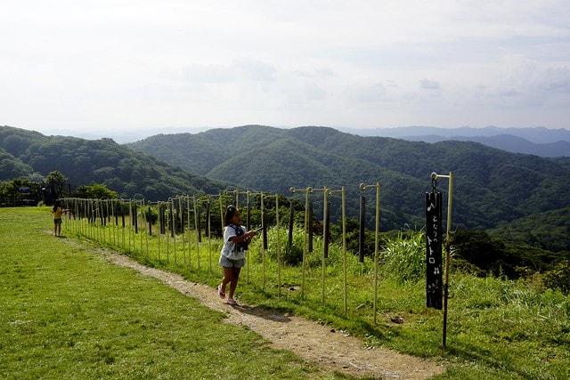 20251102-xtjnt 20251102-xtjnt