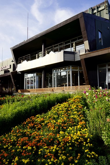 20251102-y3r5f 20251102-y3r5f