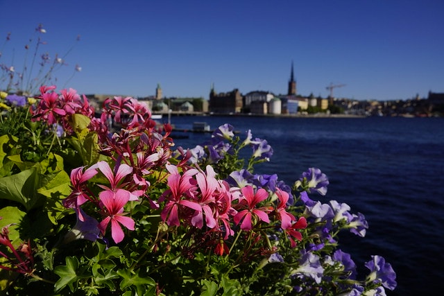 20251102-2eg4o 20251102-2eg4o