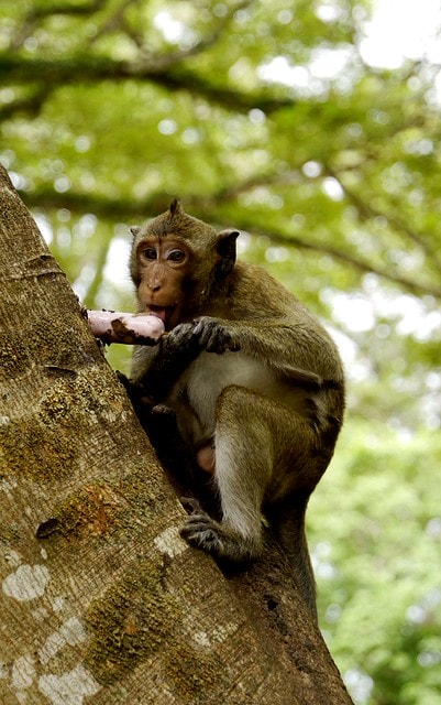 20251102-3icl8 20251102-3icl8