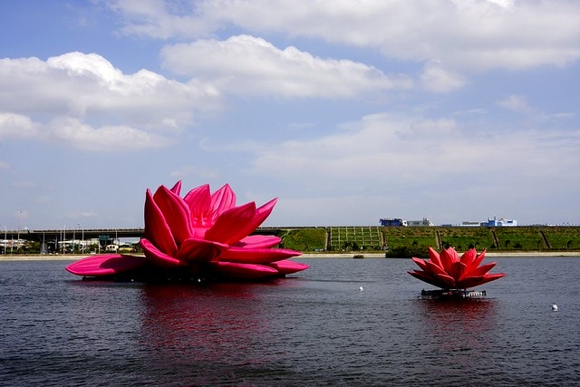 20251102-4864f 20251102-4864f