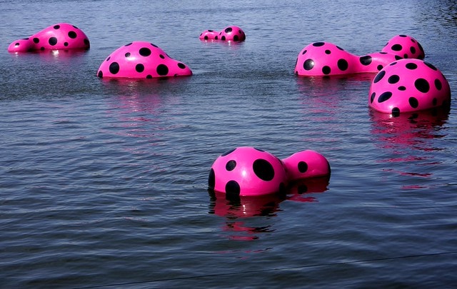 20251102-674dj 20251102-674dj