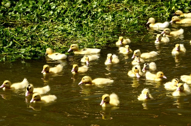 20251102-i7a2m 20251102-i7a2m