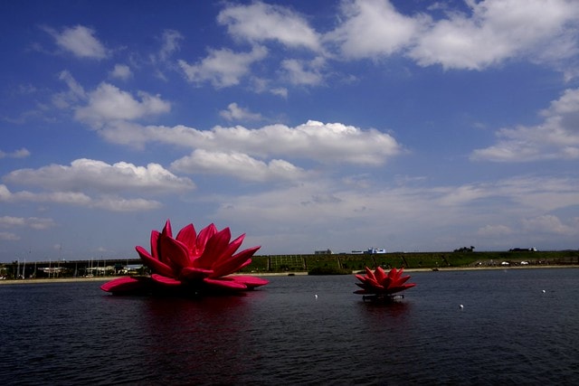 20251102-vj4is 20251102-vj4is