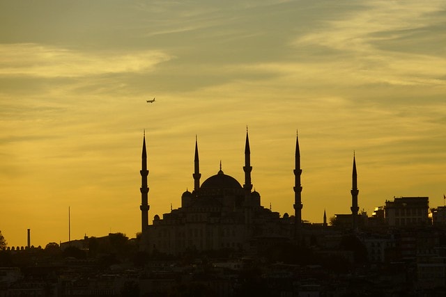 20251102-wheam 20251102-wheam