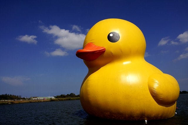 20251102-xbuvg 20251102-xbuvg