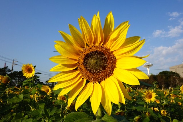 20251102-06ky4 20251102-06ky4