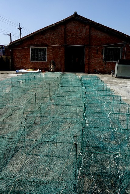 20251102-1yulp 20251102-1yulp