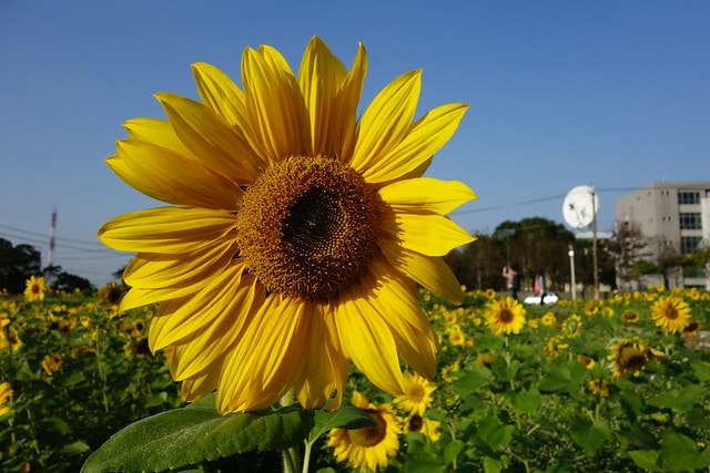 20251102-2myau 20251102-2myau