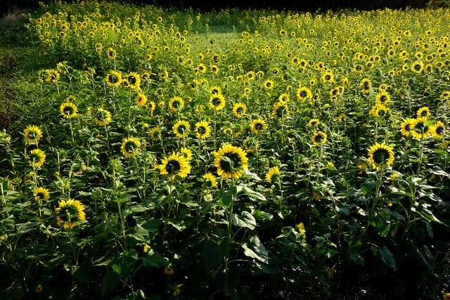 20251102-2prd4 20251102-2prd4