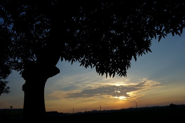 20251102-4kid8 20251102-4kid8