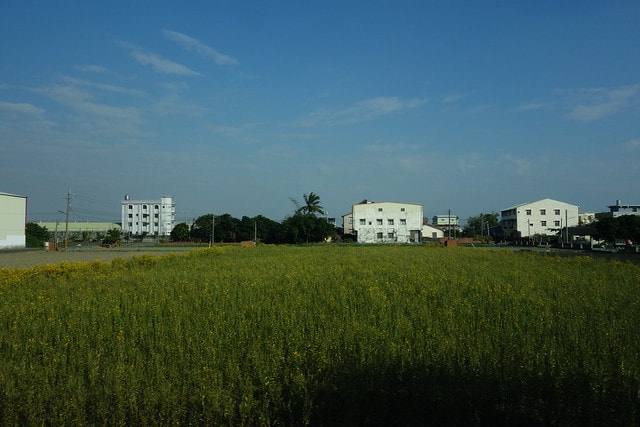 20251102-6xino 20251102-6xino