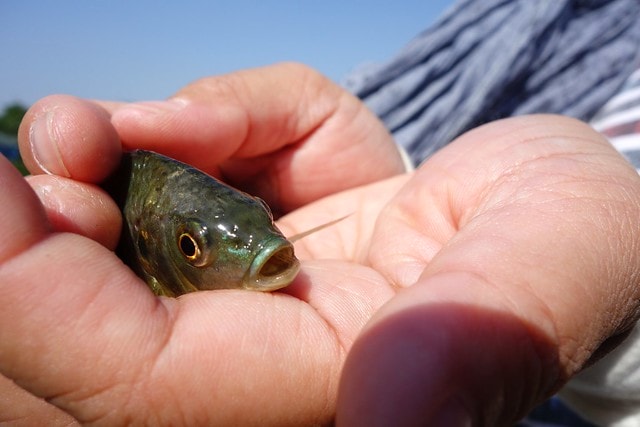 20251102-arzo6 20251102-arzo6