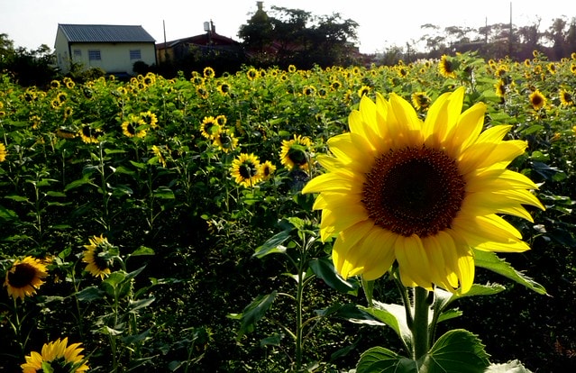 20251102-biydq 20251102-biydq