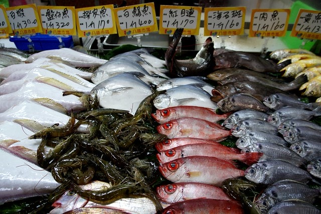 20251102-d7fo1 20251102-d7fo1