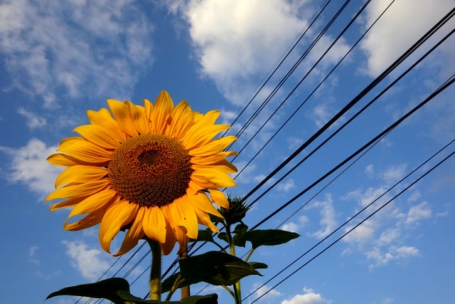 20251102-ebspd 20251102-ebspd