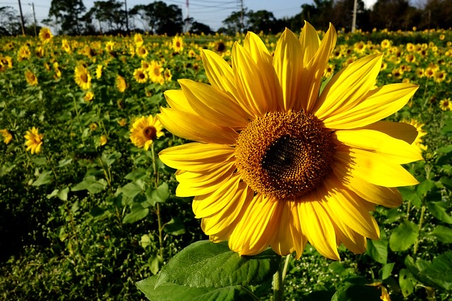 20251102-fkuem 20251102-fkuem