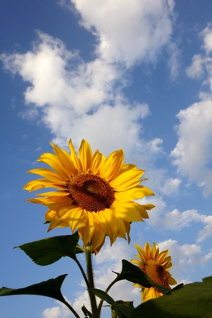 20251102-g18xp 20251102-g18xp