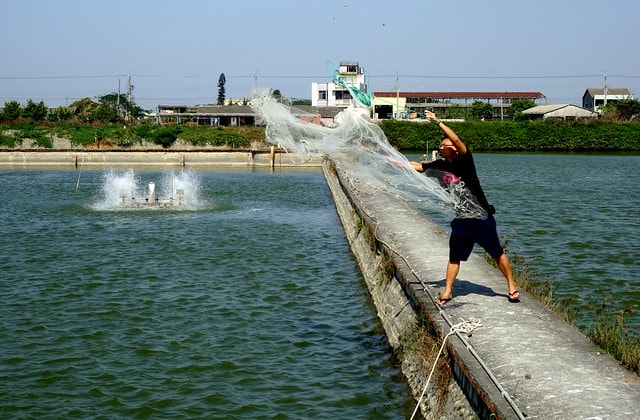 20251102-hyqvb 20251102-hyqvb