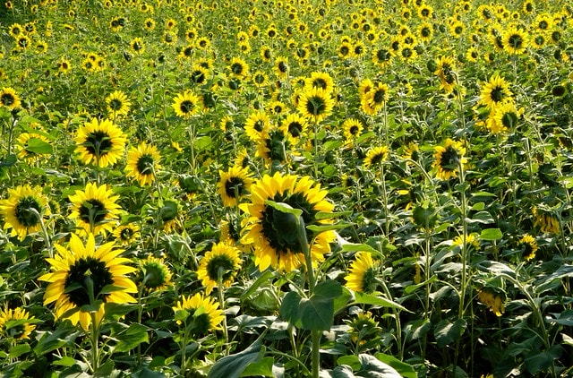 20251102-mm7u6 20251102-mm7u6