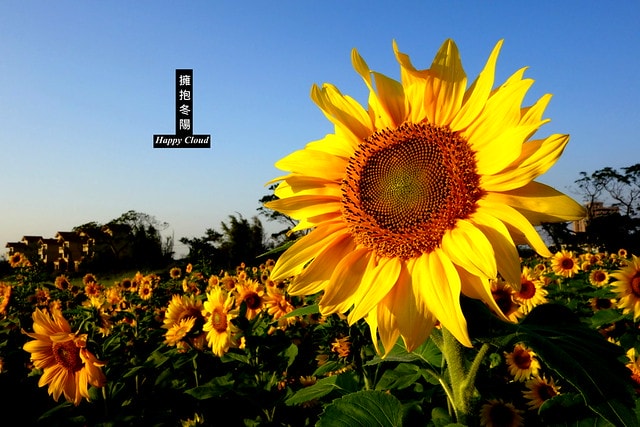 20251102-n7st5 20251102-n7st5