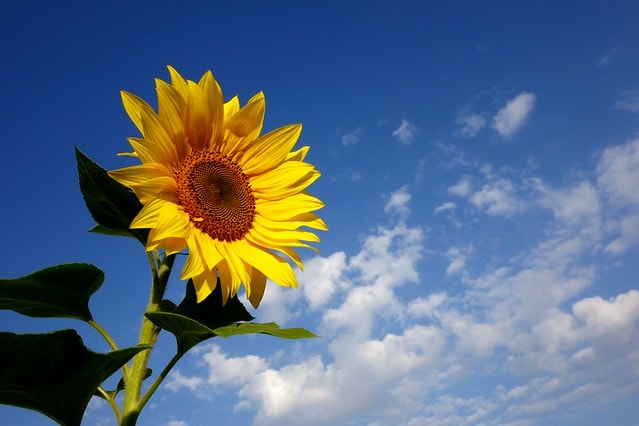 20251102-pdht7 20251102-pdht7