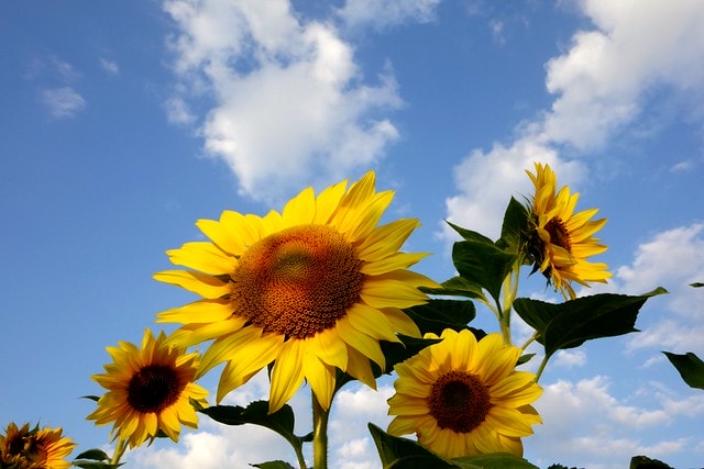 20251102-qsiom 20251102-qsiom