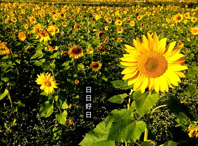 20251102-qxg7o 20251102-qxg7o