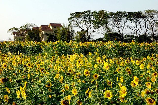 20251102-sqj1r 20251102-sqj1r