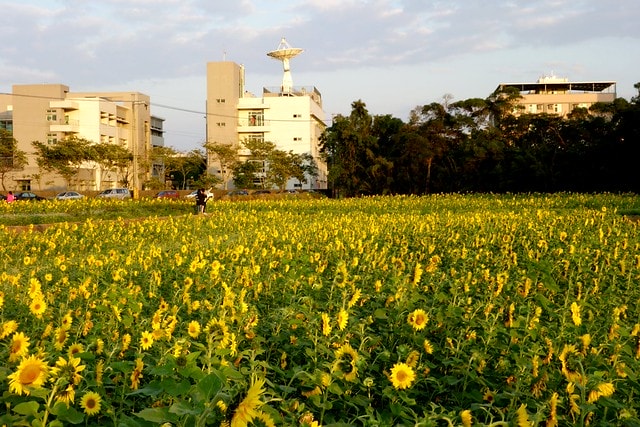 20251102-tuh9m 20251102-tuh9m