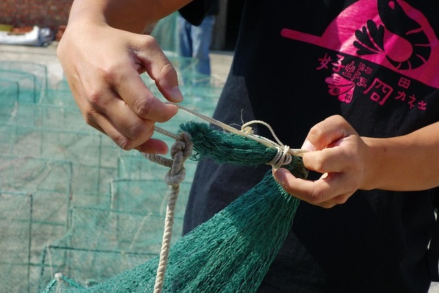 20251102-vfih6 20251102-vfih6