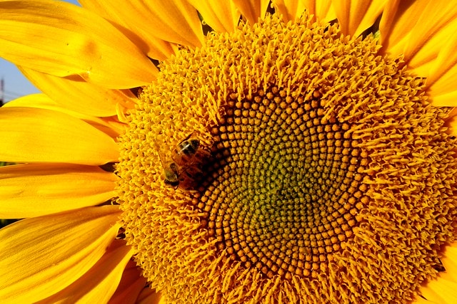 20251102-vsbhh 20251102-vsbhh