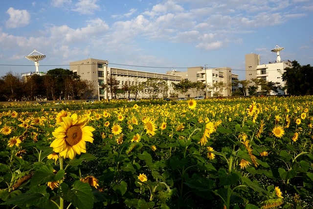 20251102-wevx9 20251102-wevx9